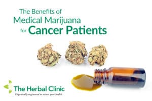 medical cannabis for cancer florida