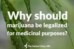 Medical Marijuana Cannabis Tampa
