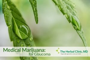 Medical cannabis glaucoma