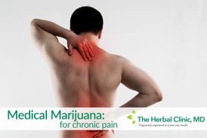 Medical marijuana for chronic pain Tampa