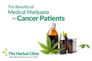 Medical Marijuana for cancer patients in Tampa