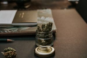medical marijuana laws in florida