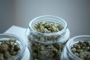 medical marijuana for MS